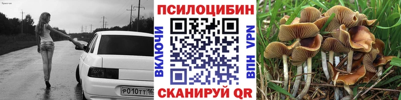 Галлюциногенные грибы прущие грибы  закладки  Болохово 